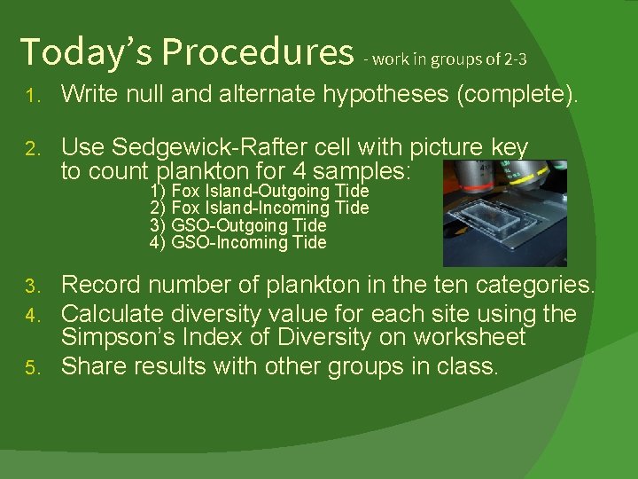 Today’s Procedures - work in groups of 2 -3 1. Write null and alternate