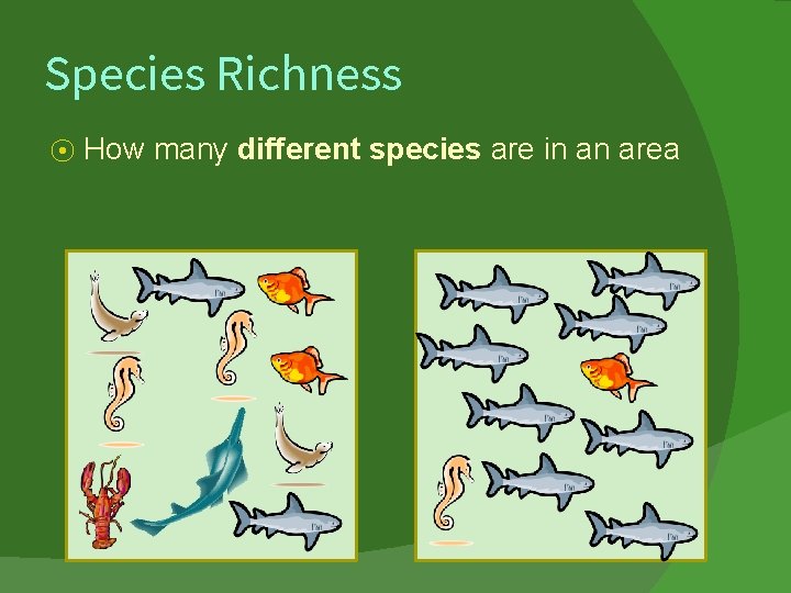 Species Richness ⦿ How many different species are in an area 