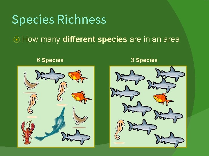 Species Richness ⦿ How many different species are in an area 6 Species 3