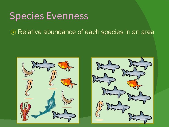 Species Evenness ⦿ Relative abundance of each species in an area 