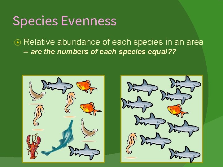 Species Evenness ⦿ Relative abundance of each species in an area -- are the