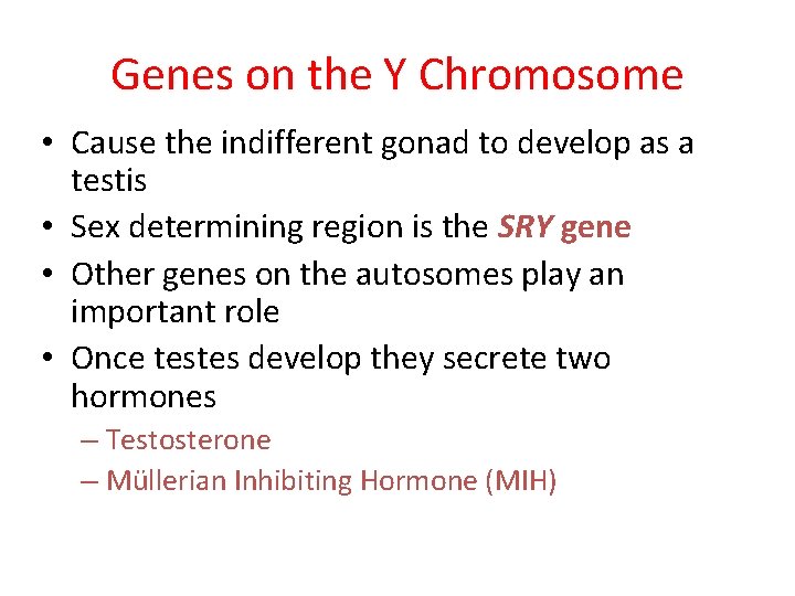 Genes on the Y Chromosome • Cause the indifferent gonad to develop as a