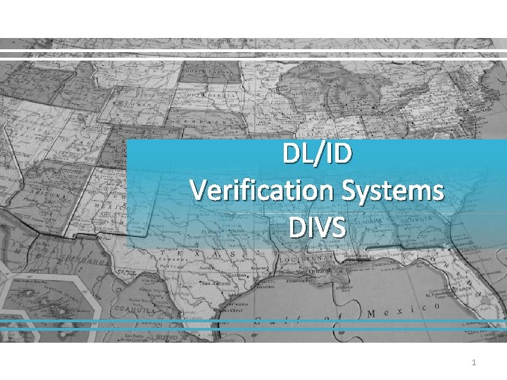 DL/ID Verification Systems DIVS 1 