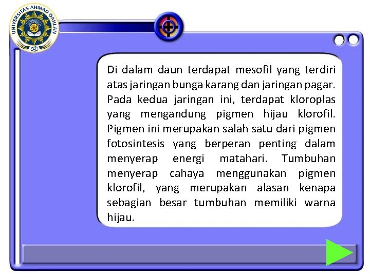Di dalam daun terdapat mesofil yang terdiri atas jaringan bunga karang dan jaringan pagar. Di dalam daun terdapat mesofil yang terdiri atas jaringan bunga karang dan jaringan pagar.