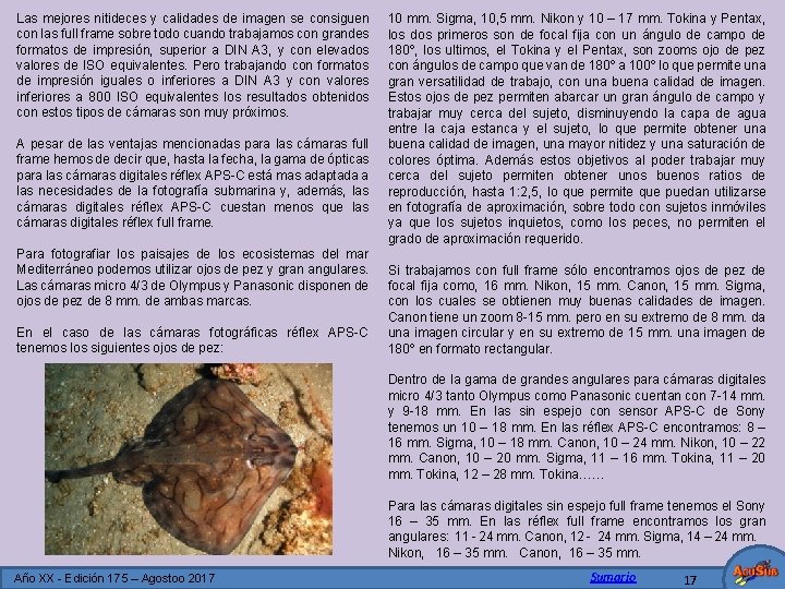 Las mejores nitideces y calidades de imagen se consiguen con las full frame sobre