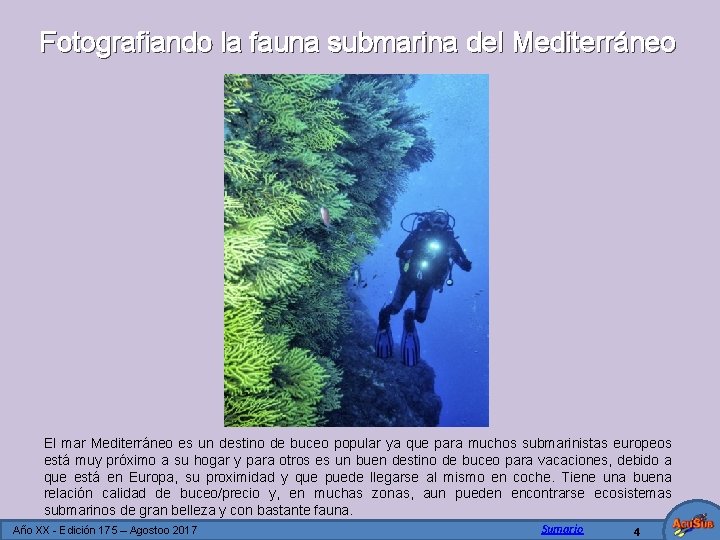 Fotografiando la fauna submarina del Mediterráneo El mar Mediterráneo es un destino de buceo