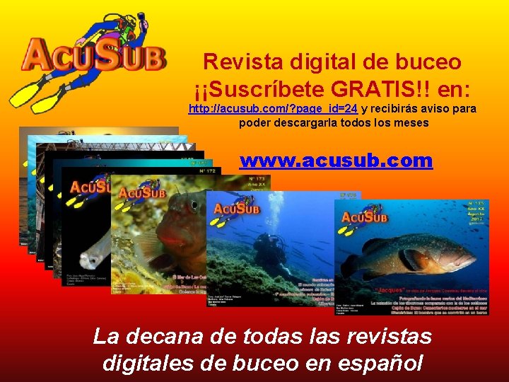 Revista digital de buceo ¡¡Suscríbete GRATIS!! en: http: //acusub. com/? page_id=24 y recibirás aviso