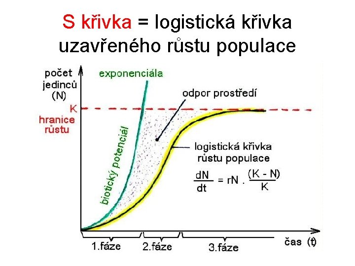 S křivka = logistická křivka uzavřeného růstu populace 