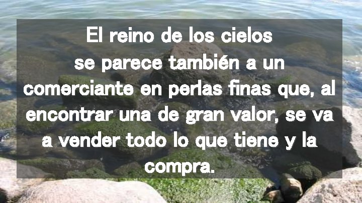 El reino de los cielos se parece también a un comerciante en perlas finas