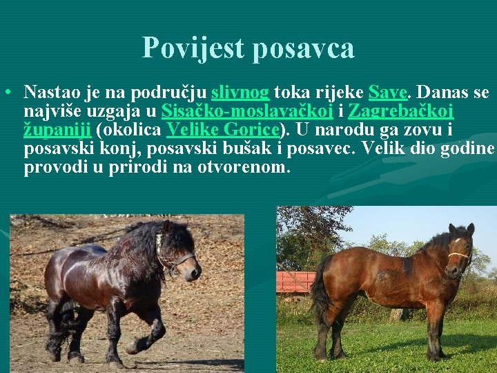 Povijest posavca • Nastao je na području slivnog toka rijeke Save. Danas se najviše