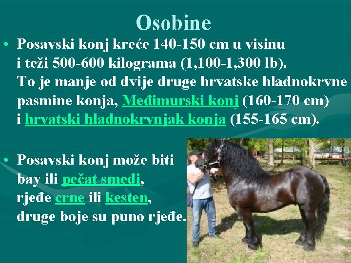 Osobine • Posavski konj kreće 140 -150 cm u visinu i teži 500 -600