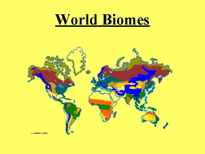 World Biomes 