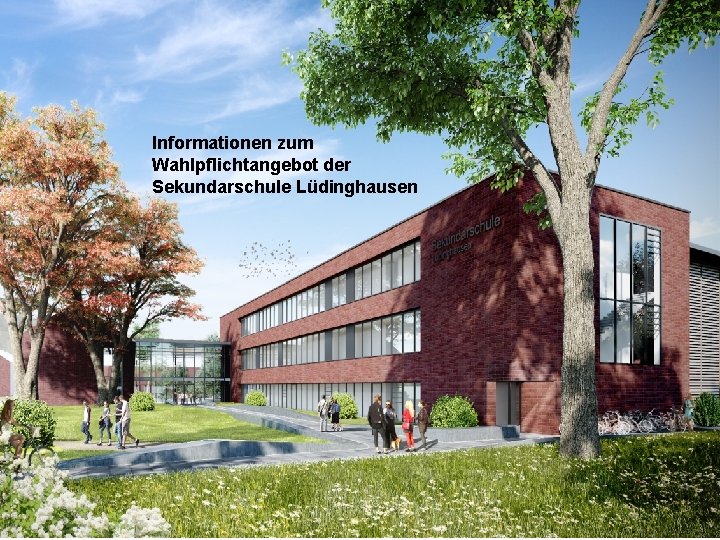 Informationen zum Wahlpflichtangebot der Sekundarschule Lüdinghausen 