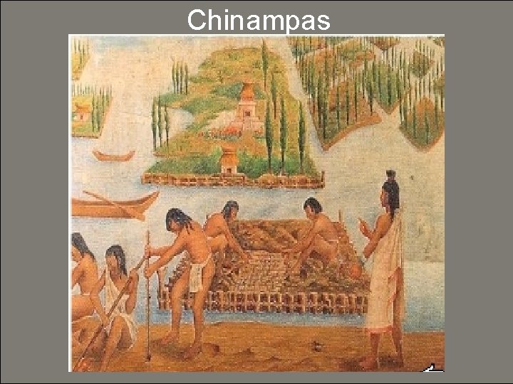 Chinampas 