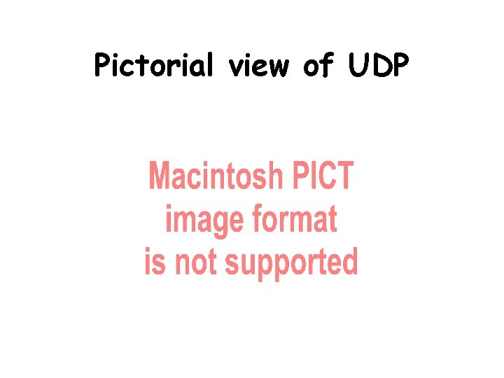 Pictorial view of UDP 