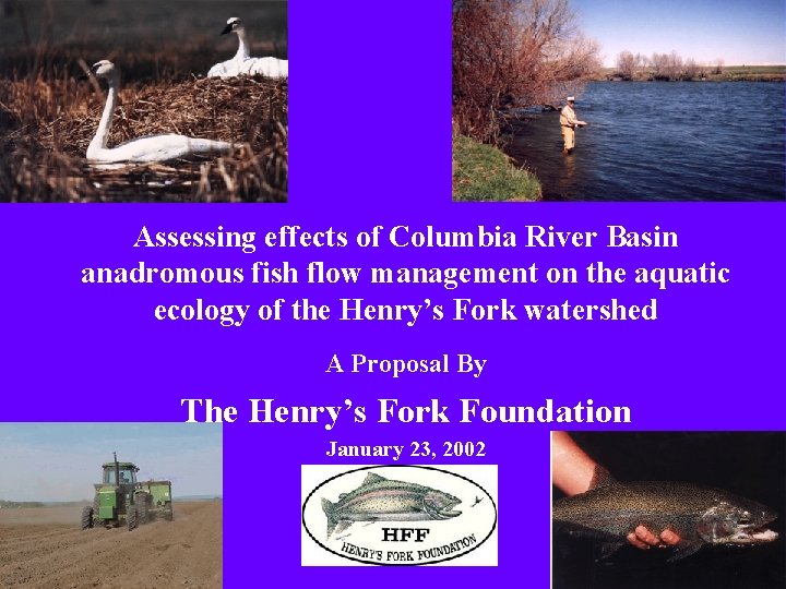 Assessing effects of Columbia River Basin anadromous fish flow management on the aquatic ecology