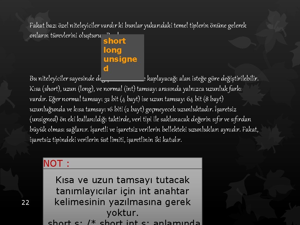 Fakat bazı özel niteleyiciler vardır ki bunlar yukarıdaki temel tiplerin önüne gelerek onların türevlerini