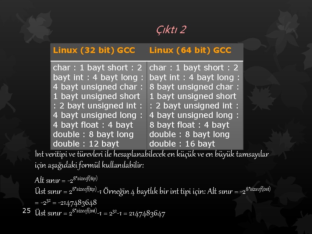 Çıktı 2 Linux (32 bit) GCC Linux (64 bit) GCC char : 1 bayt