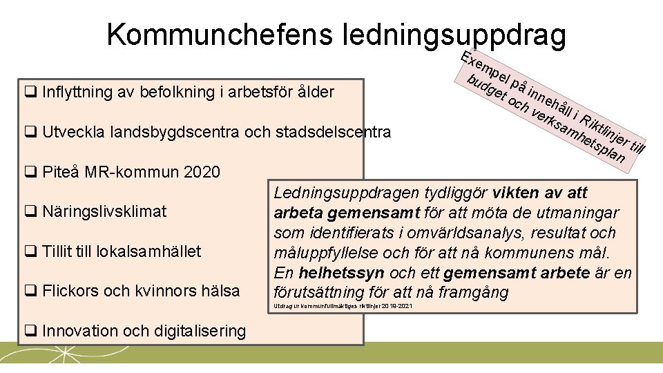 Kommunchefens ledningsuppdrag E q Inflyttning av befolkning i arbetsför ålder q Utveckla landsbygdscentra och