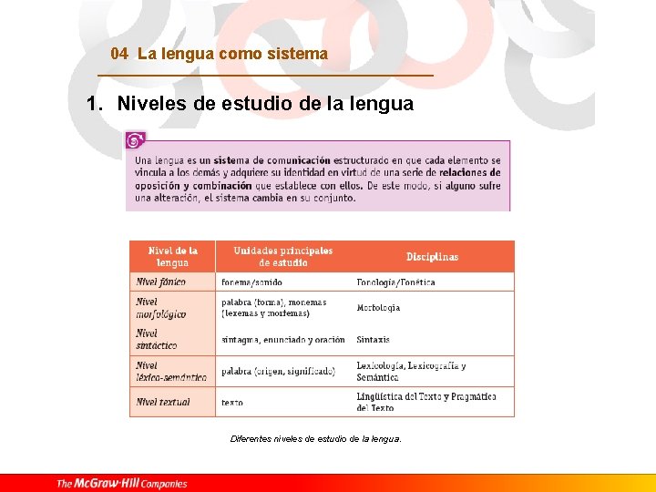 04 La lengua como sistema 1. Niveles de estudio de la lengua Diferentes niveles