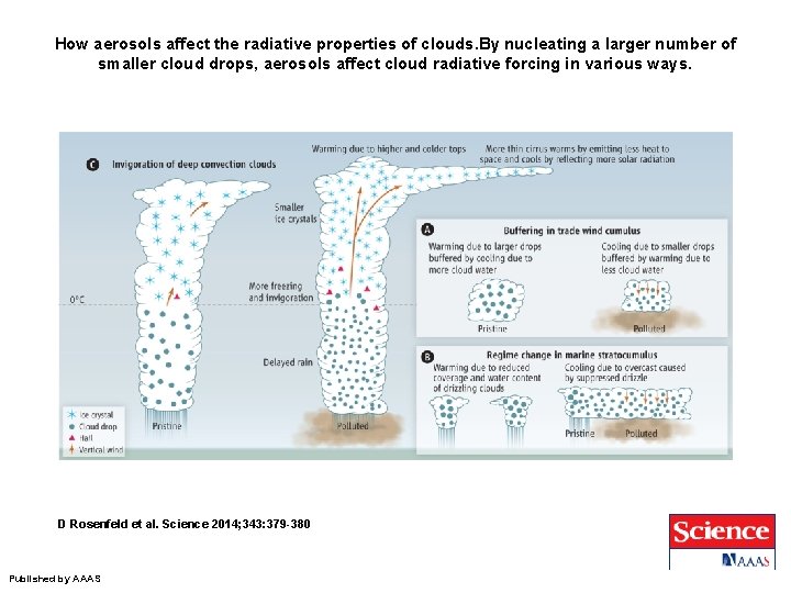 How aerosols affect the radiative properties of clouds. By nucleating a larger number of