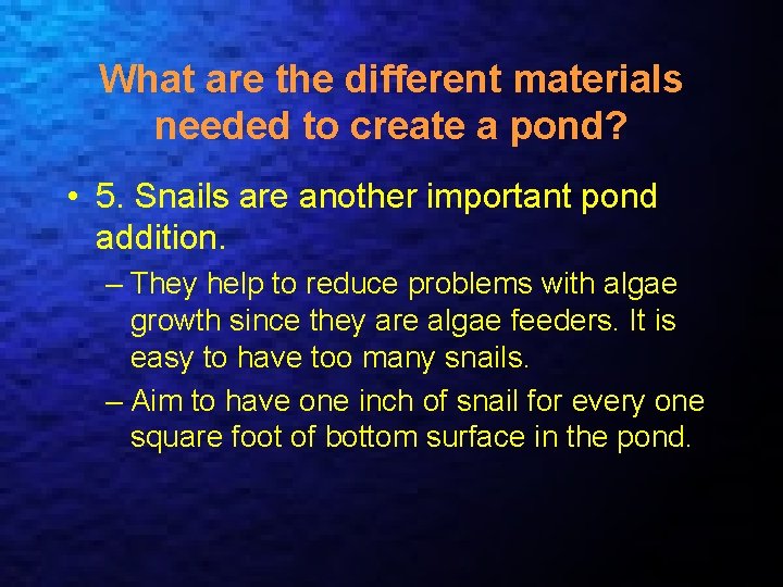 What are the different materials needed to create a pond? • 5. Snails are
