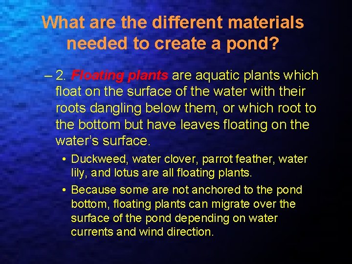What are the different materials needed to create a pond? – 2. Floating plants