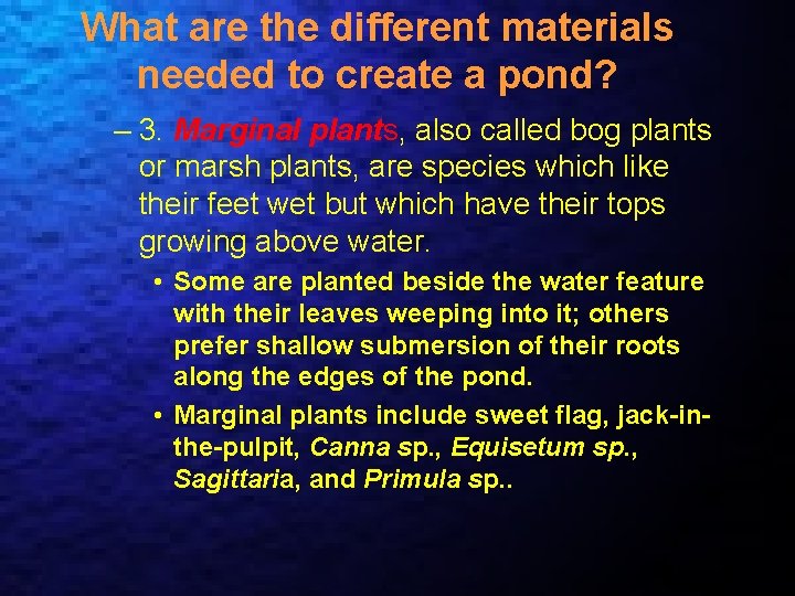 What are the different materials needed to create a pond? – 3. Marginal plants,