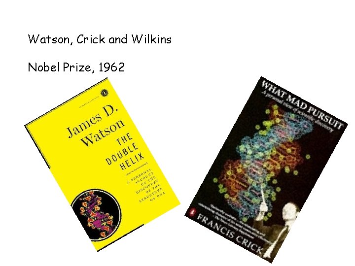 Watson, Crick and Wilkins Nobel Prize, 1962 
