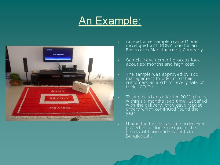 An Example: § An exclusive sample (carpet) was developed with SONY logo for an