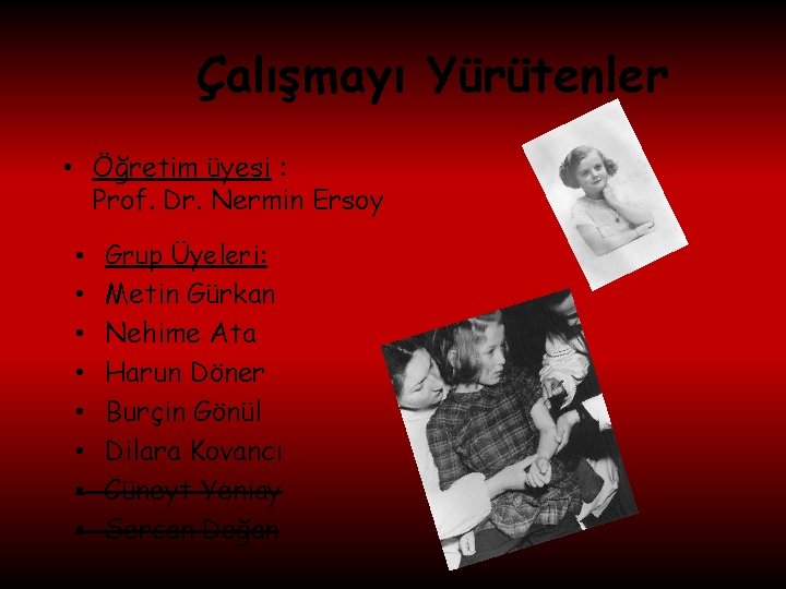 Çalışmayı Yürütenler • Öğretim üyesi : Prof. Dr. Nermin Ersoy • • Grup Üyeleri: