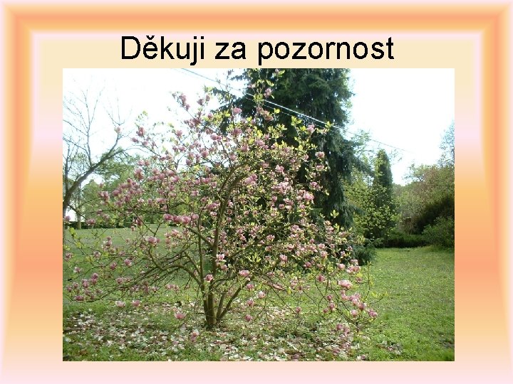 Děkuji za pozornost 