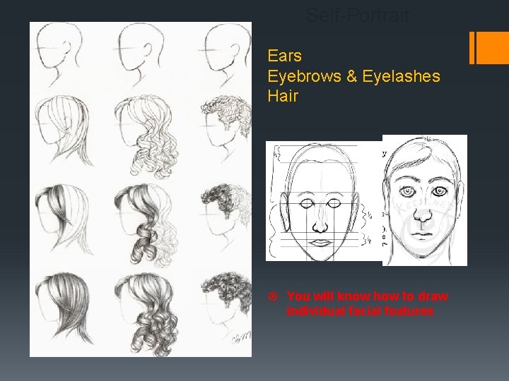 Self-Portrait Ears Eyebrows & Eyelashes Hair You will know how to draw individual facial