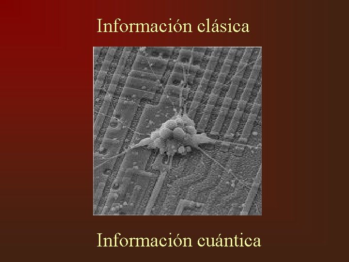 Información clásica Información cuántica 