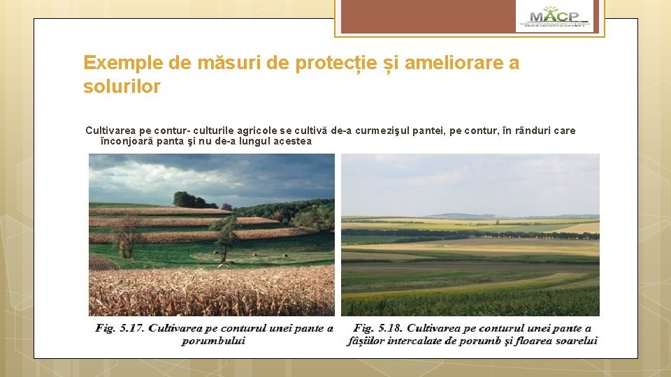 Exemple de măsuri de protecție și ameliorare a solurilor Cultivarea pe contur- culturile agricole