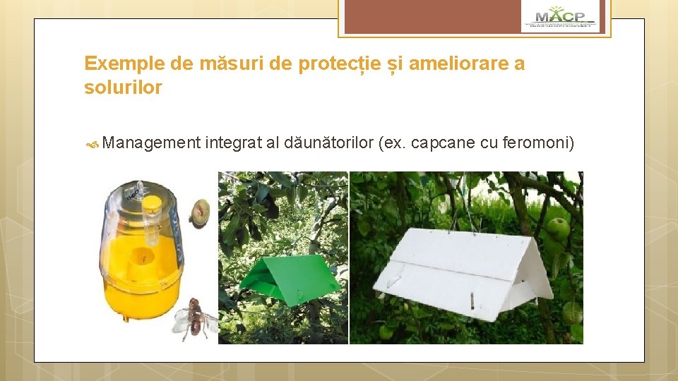 Exemple de măsuri de protecție și ameliorare a solurilor Management integrat al dăunătorilor (ex.