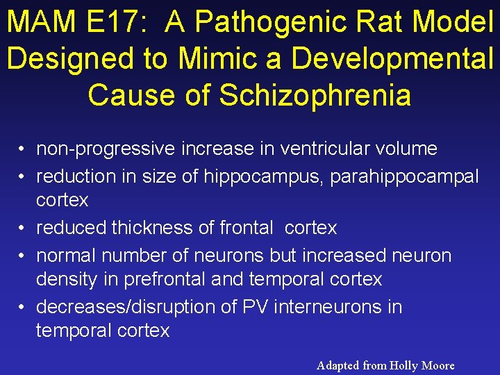 MAM E 17: A Pathogenic Rat Model Designed to Mimic a Developmental Cause of MAM E 17: A Pathogenic Rat Model Designed to Mimic a Developmental Cause of
