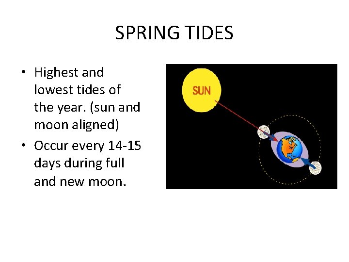 SPRING TIDES • Highest and lowest tides of the year. (sun and moon aligned)