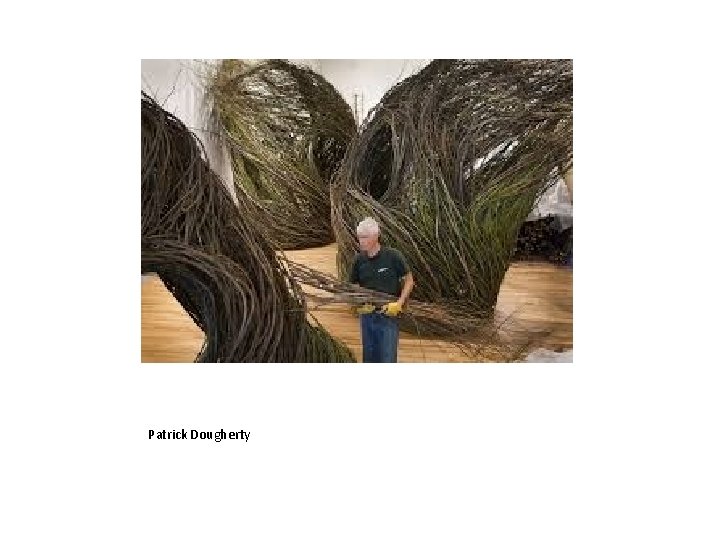 Patrick Dougherty 