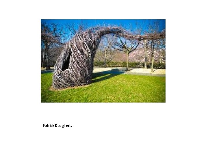 Patrick Dougherty 