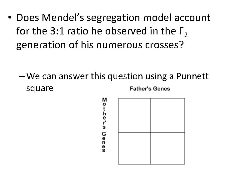  • Does Mendel’s segregation model account for the 3: 1 ratio he observed