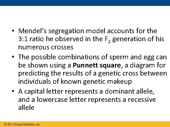 • Mendel’s segregation model accounts for the 3: 1 ratio he observed in
