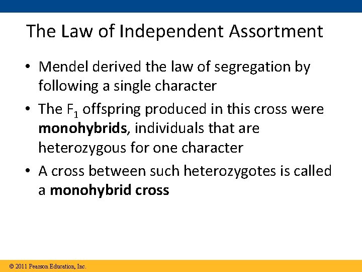 The Law of Independent Assortment • Mendel derived the law of segregation by following