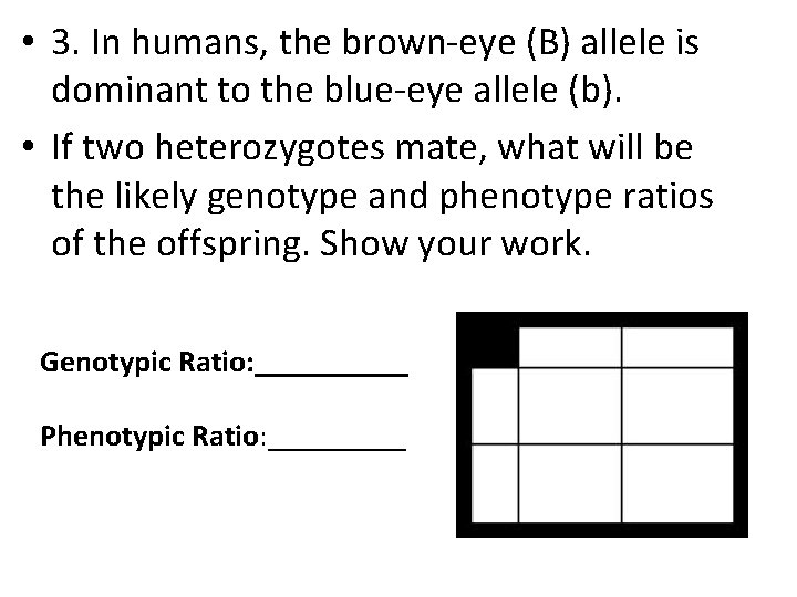  • 3. In humans, the brown-eye (B) allele is dominant to the blue-eye