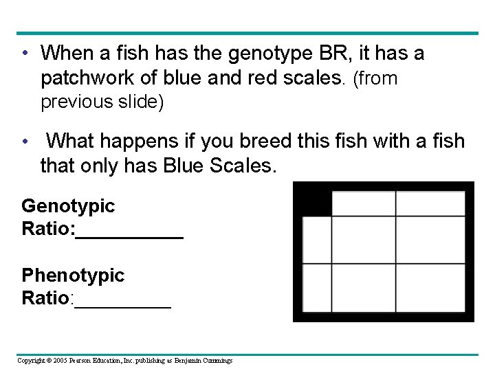  • When a fish has the genotype BR, it has a patchwork of