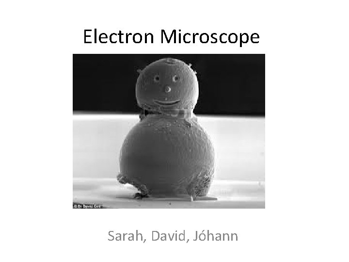 Electron Microscope Sarah, David, Jóhann 