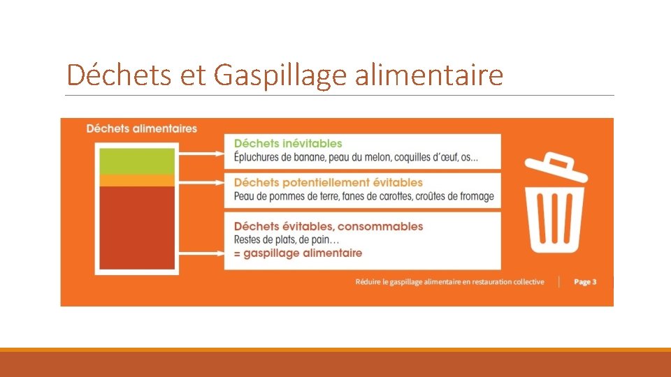 Déchets et Gaspillage alimentaire 