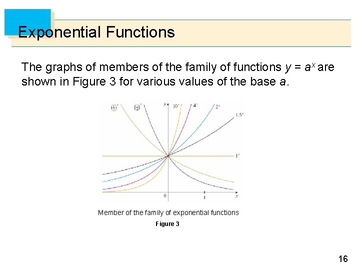 Exponential Functions The graphs of members of the family of functions y = ax