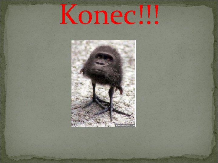 Konec!!! 