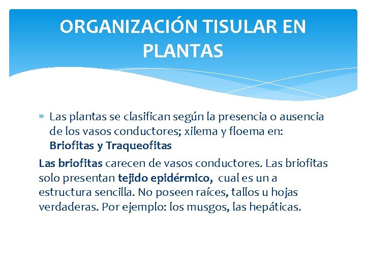 ORGANIZACIÓN TISULAR EN PLANTAS Las plantas se clasifican según la presencia o ausencia de